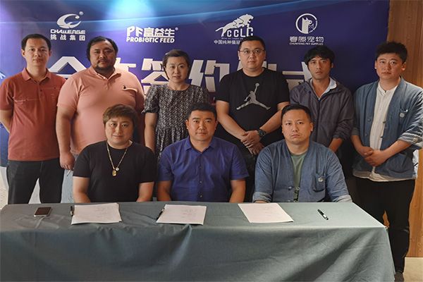 富益生与全国赛级猫协会CCLC展开合作