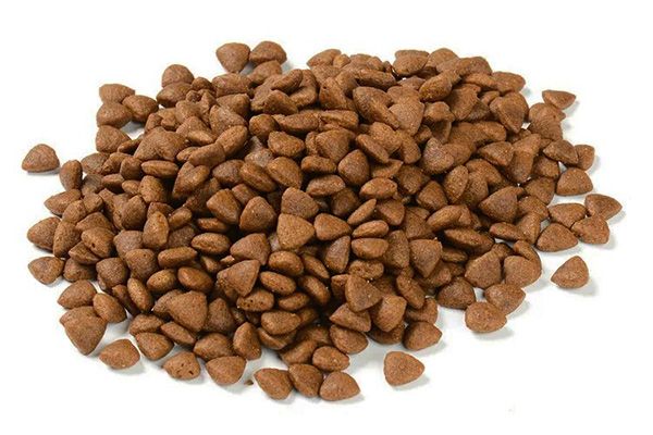 5招，教你如何挑选一款优质的狗粮